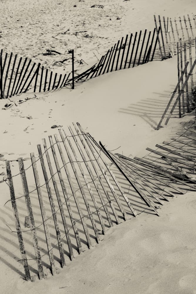 Dune Fence Shadows by Olivia Joy StClaire — canvas wall art