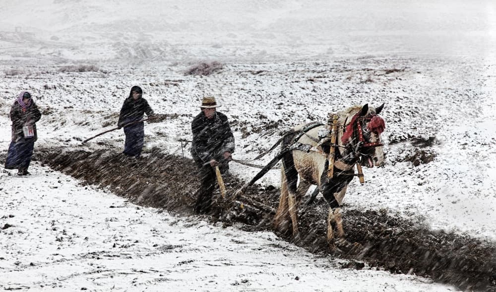 Plowing Through Snow by BJ Yang — canvas wall art