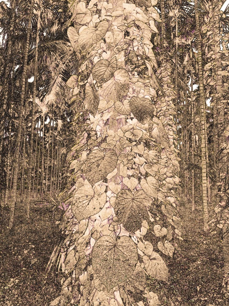 Lush Jungle Vines by Santhosh ch — canvas wall art