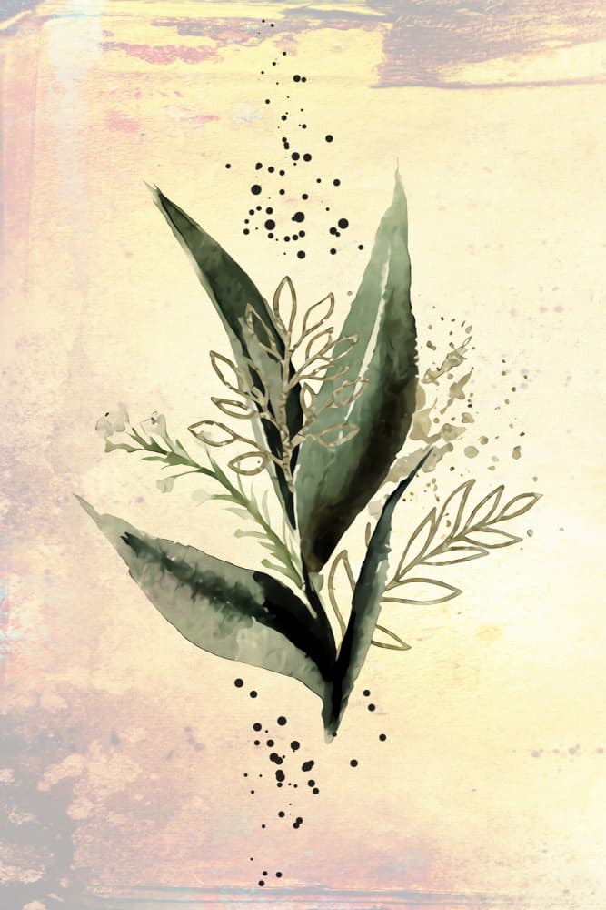 Golden Eucalyptus Sprig by Rafal Kulik — canvas wall art