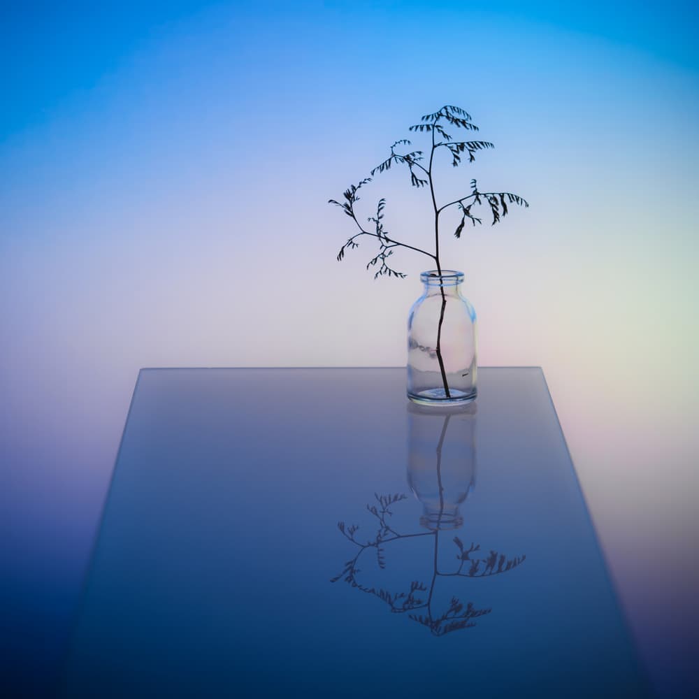 Serene Botanical Reflection by Konstantin Selezenev — canvas wall art