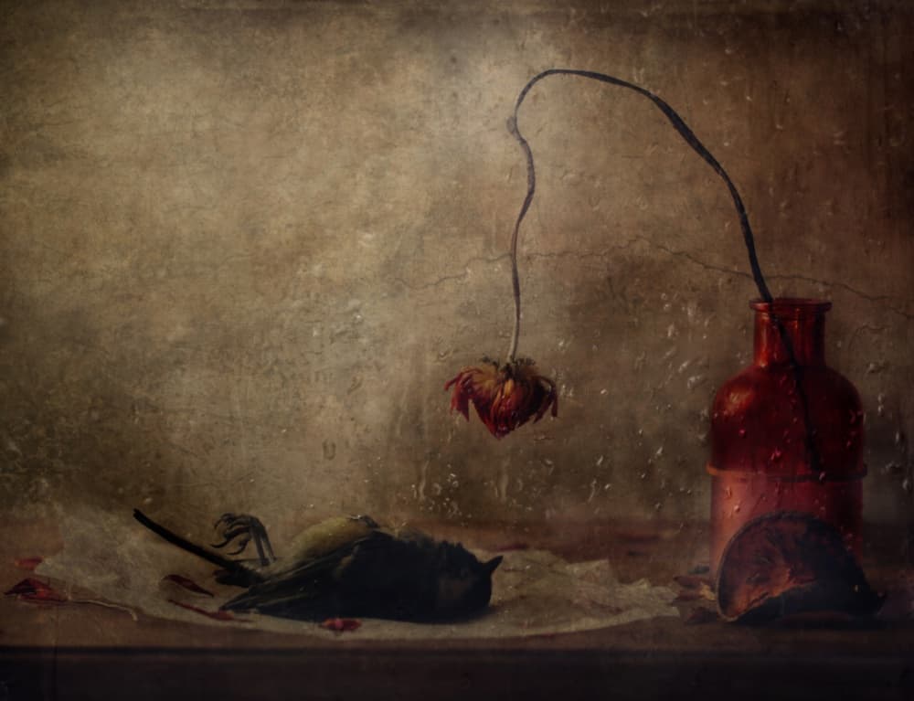 Melancholy Still Life by Delphine Devos — canvas wall art