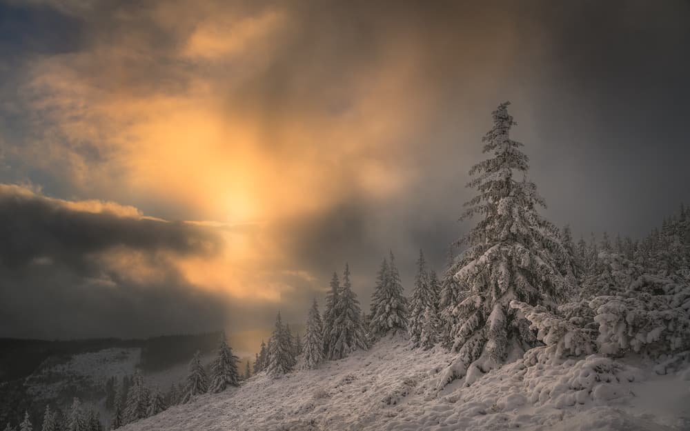 Golden Winter Peaks by Tomasz Rojek — canvas wall art