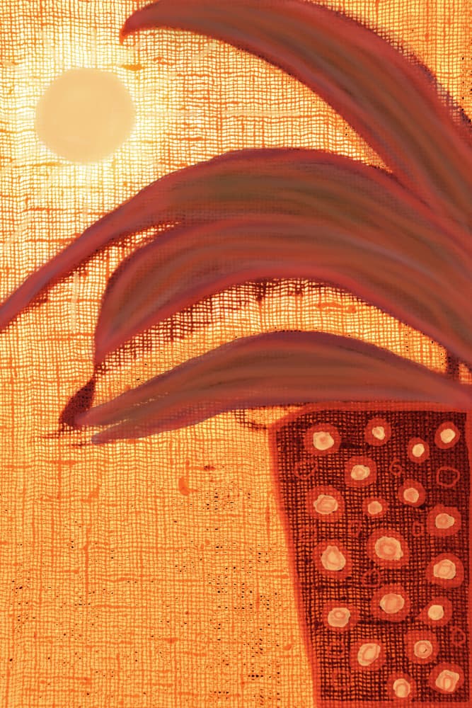 Sunny Desert Plant by Christina Sillen — canvas wall art