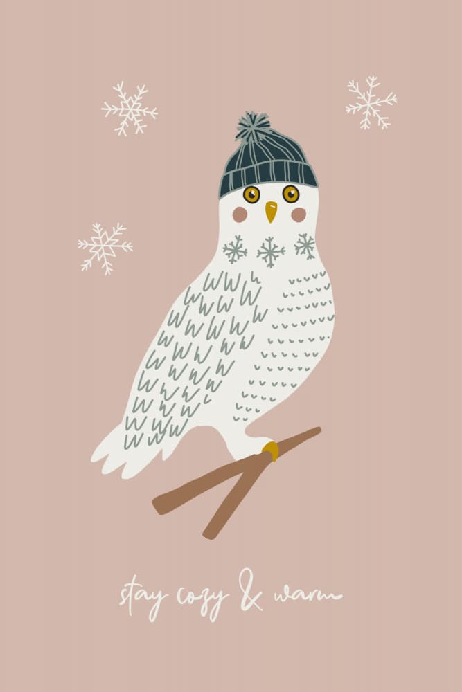 Cozy Winter Owl by Alexandra Weise — canvas wall art