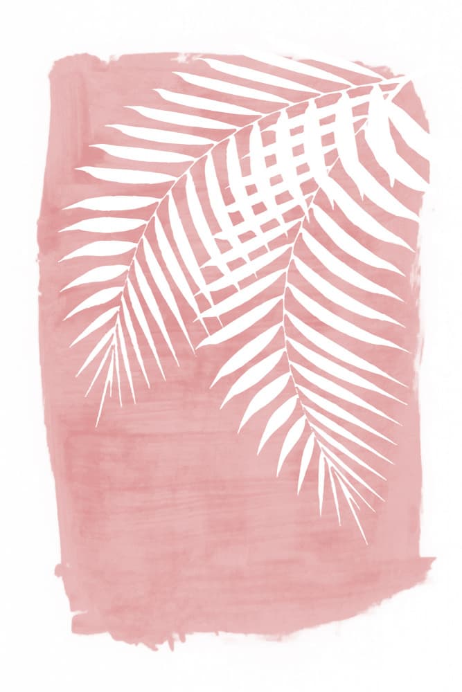 Blush Pink Palm Fronds by amini54 — canvas wall art
