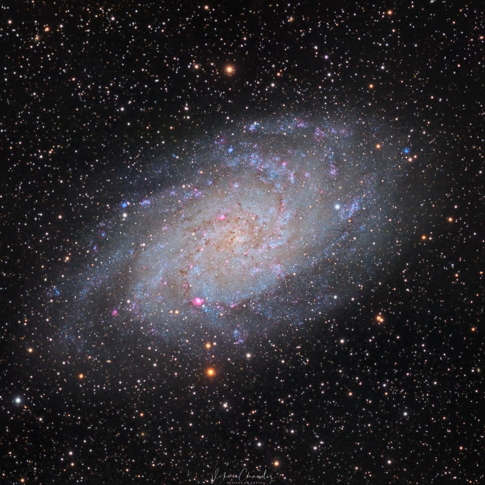 Deep Space Galaxy by Vikas Chander — canvas wall art