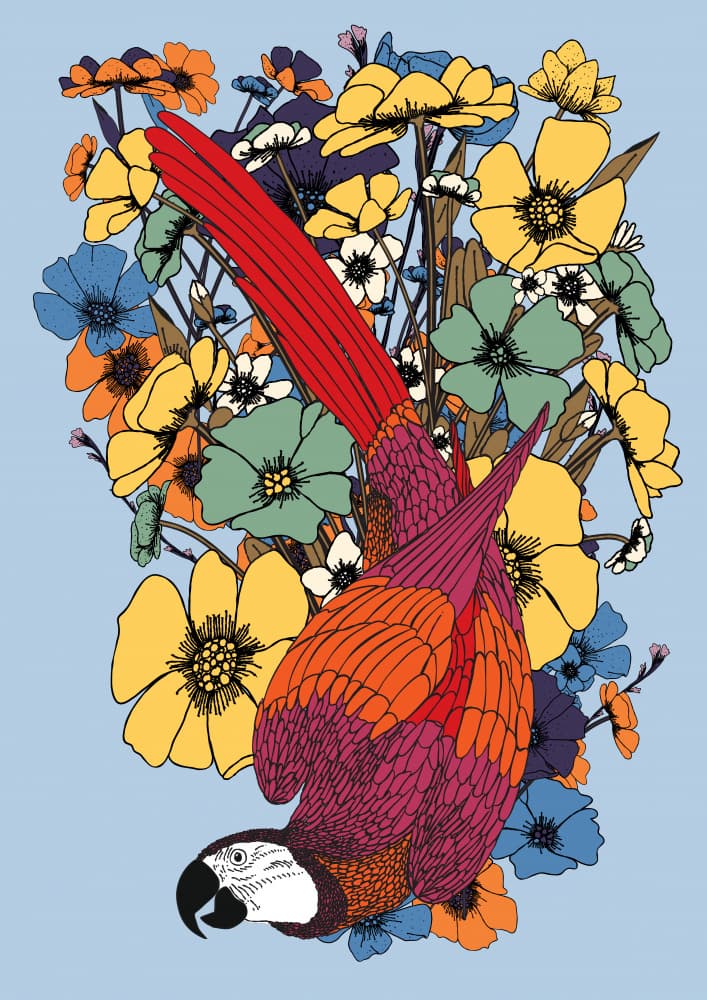 Colorful Hanging Parrot by Nicholas — canvas wall art