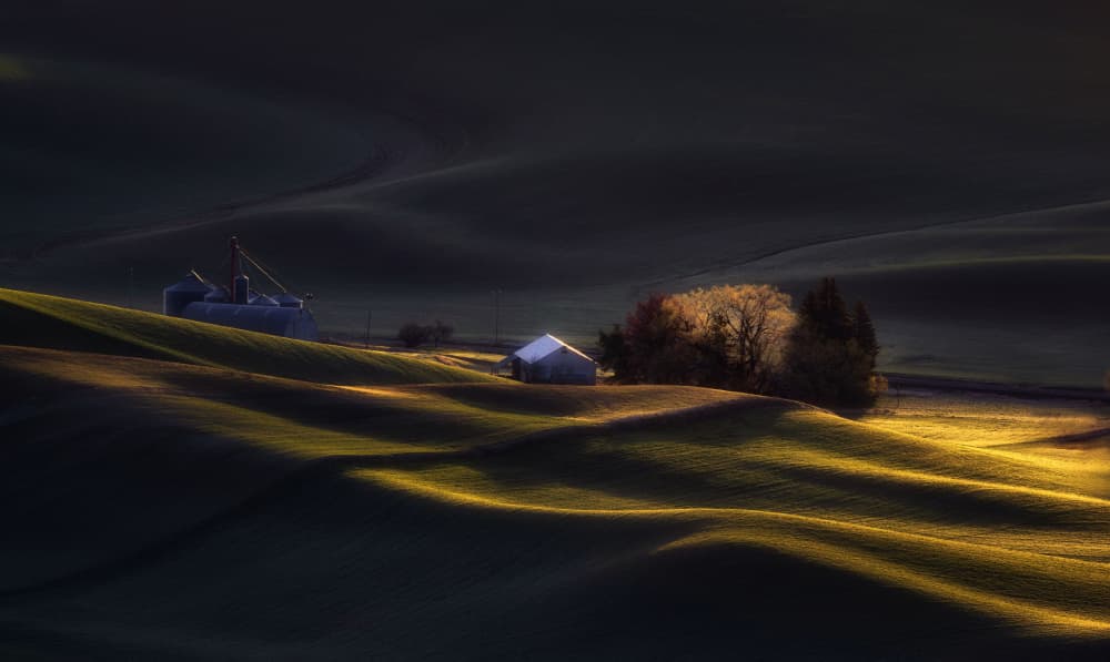 Rolling Farmland Glow by Leechee Z — canvas wall art