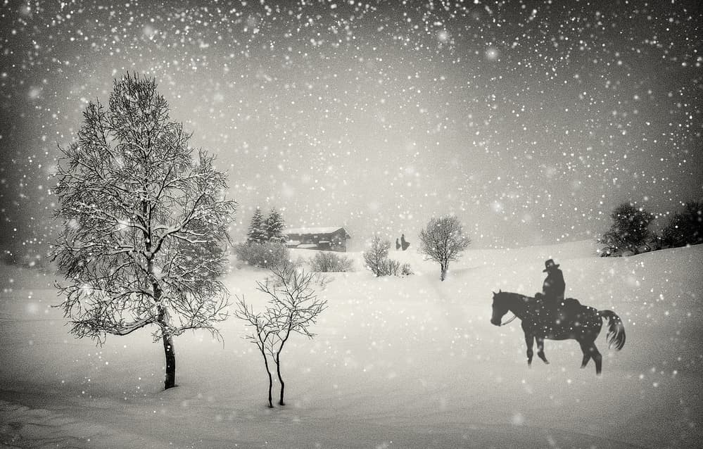 Lone Cowboy Winter Ride by Vito Guarino — canvas wall art