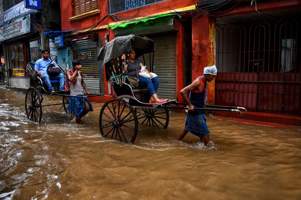 Pain in Rain by Avishek Das — canvas wall art