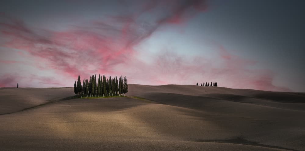 Tuscan Cypress Sunset by Fernando Piçarra — canvas wall art