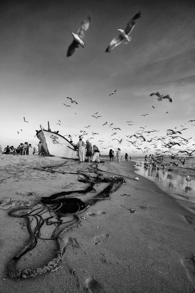 Fishermen's Morning Catch by Josefina Melo — canvas wall art