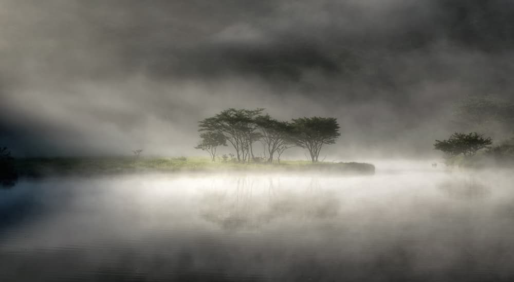 Misty Lake Trees by K_Tsunoda — canvas wall art