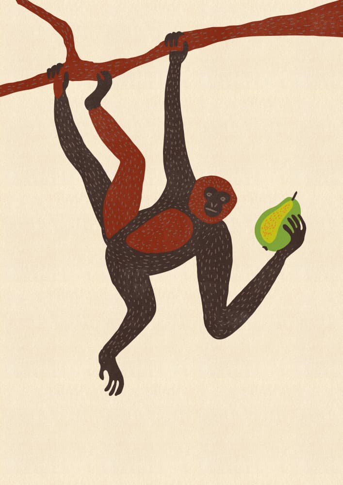 Hanging Monkey Holding Pear by Nicholas — canvas wall art