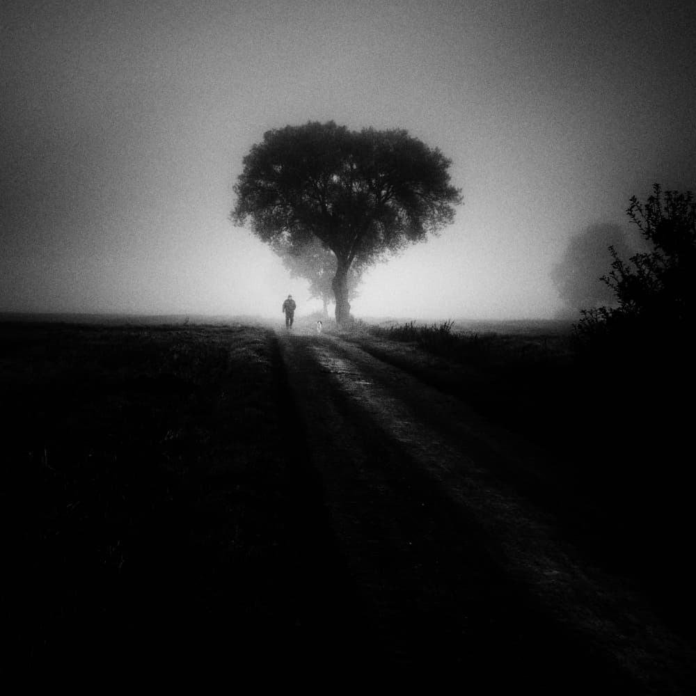Misty Path Solitude by Robert Kuavi — canvas wall art