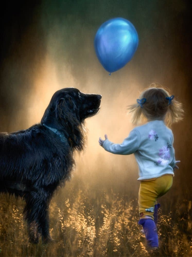 Golden Hour Balloon Fun by Charlaine Gerber — canvas wall art