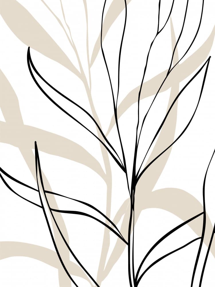 Elegant Line Botanical by Elena Ristova — canvas wall art