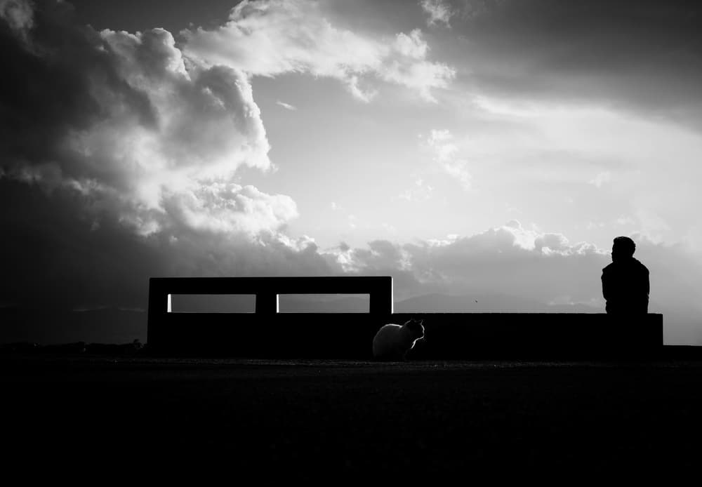 Quiet Rooftop Moment by Ali Ayer — canvas wall art