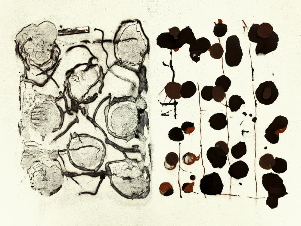Contrasting Organic Forms by Petr Strnad — canvas wall art