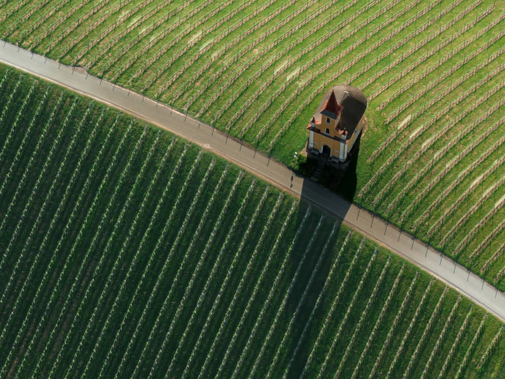 Vineyard Chapel Aerial View by Jure Kravanja — canvas wall art
