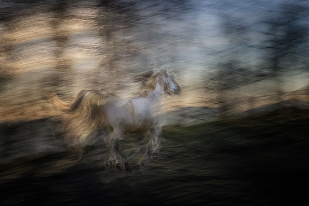 Wild Horse Motion Blur by Milan Malovrh — canvas wall art