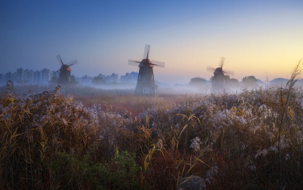 Misty Windmills Morning by Tiger Seo — canvas wall art