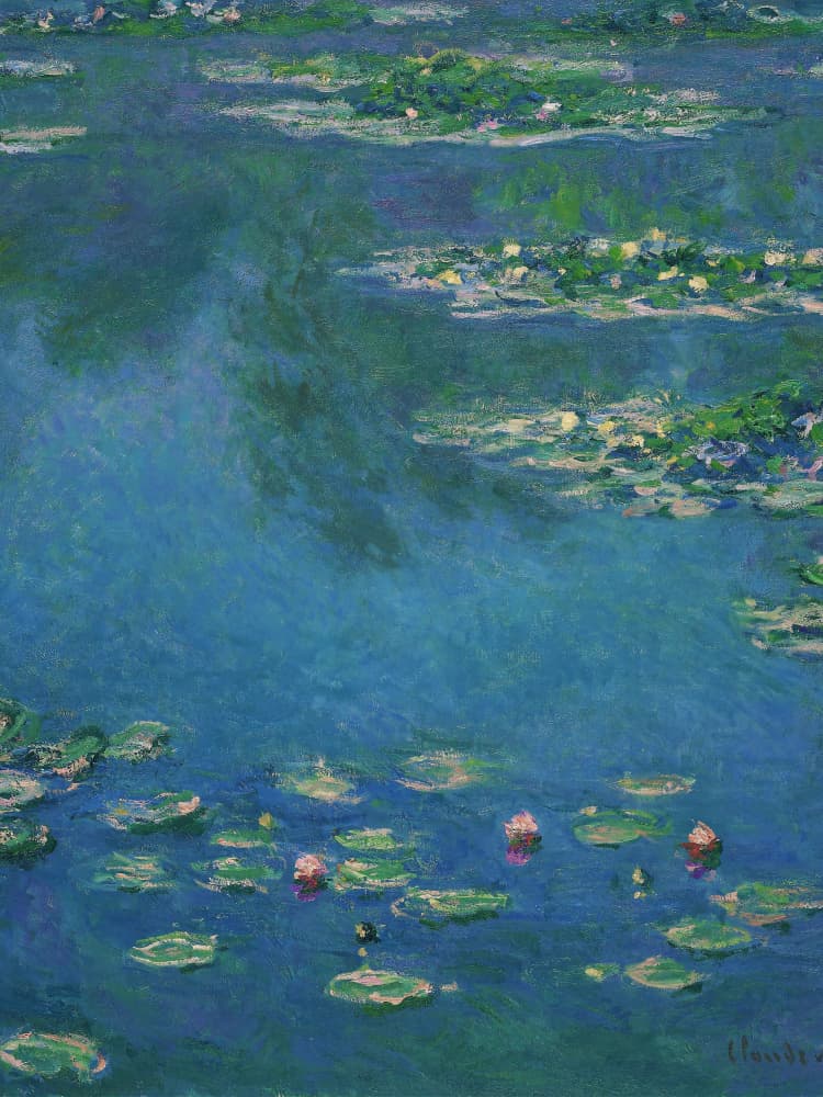Water Lilies Reflection by Mathieu jeuf — canvas wall art
