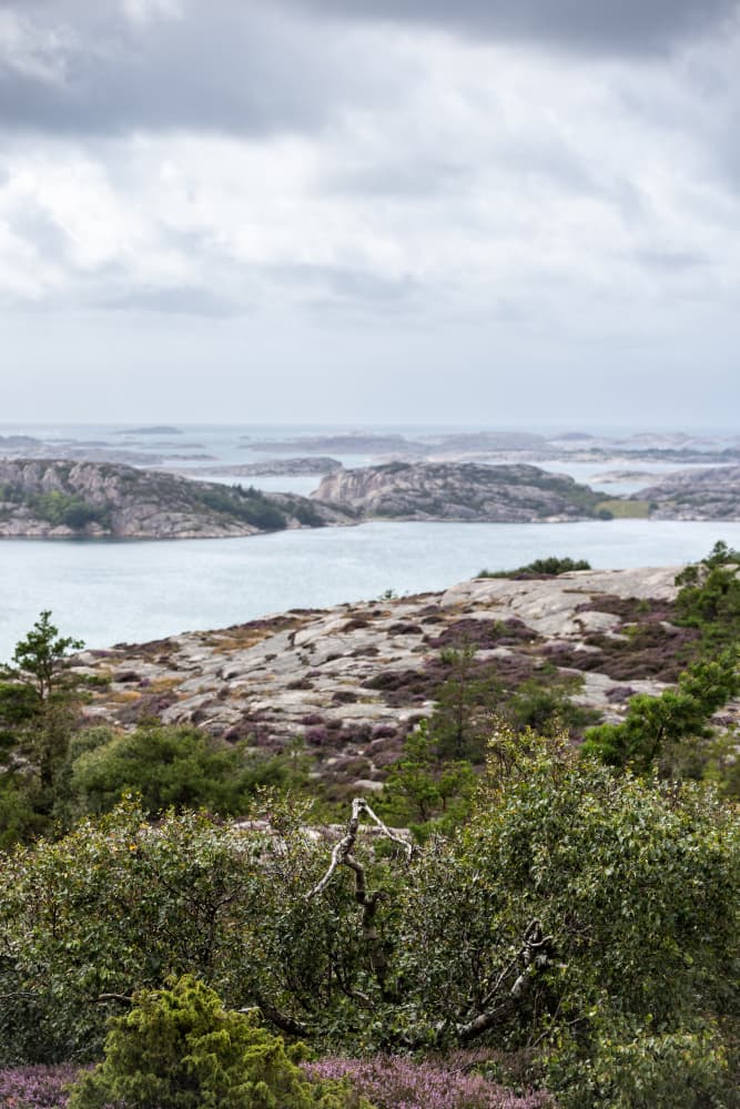 At the Swedish Coast 1 by Mareike Böhmer — canvas wall art