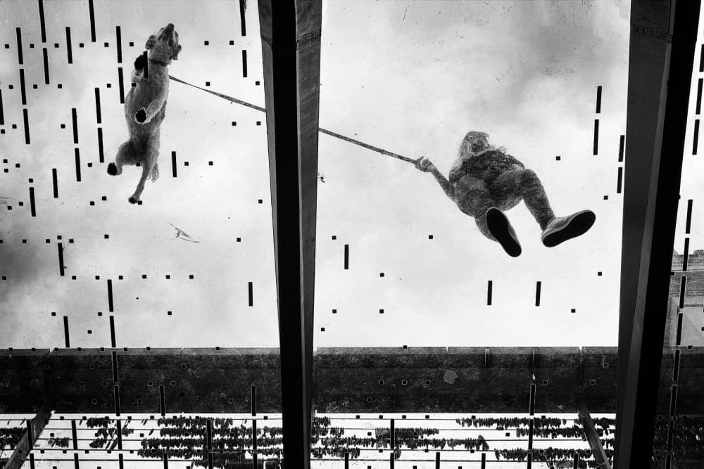 Dog And Person Swinging by Jurij Bizjak — canvas wall art
