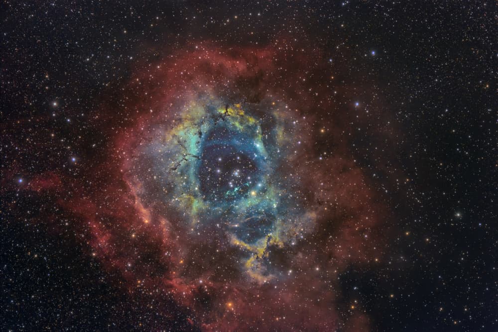 Glowing Cosmic Rose by Jose Maria D. Barba — canvas wall art