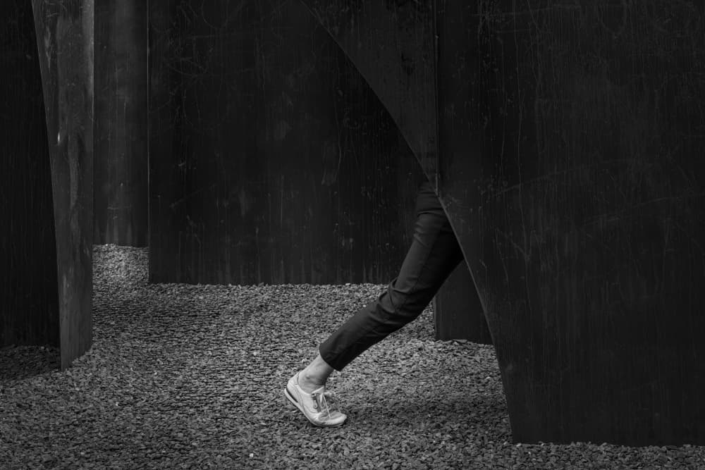 Emerging from Shadows by Greetje van Son — canvas wall art