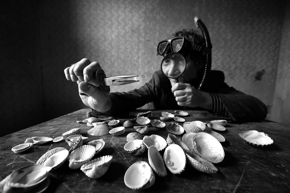 Curious Shell Explorer by mario grobenski - psychodaddy — canvas wall art