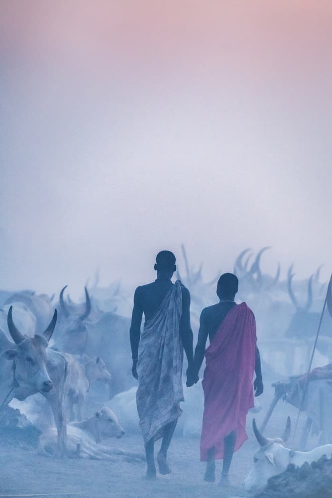 African Herders at Dawn by Trevor Cole — canvas wall art
