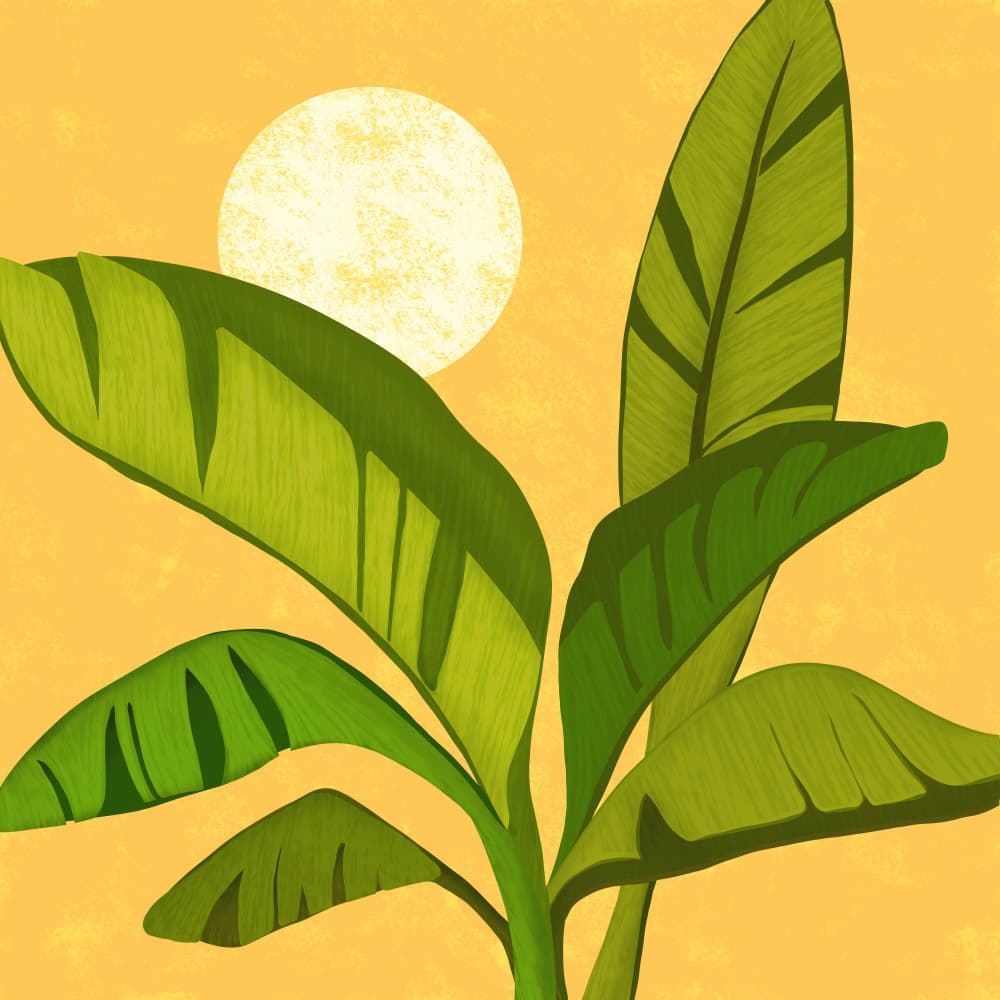 Sunny Golden Tropics by Kristian Gallagher — canvas wall art