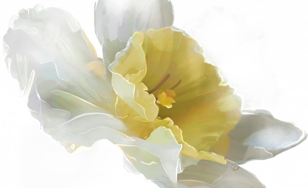 Luminous Yellow Bloom by Ruth Day — canvas wall art