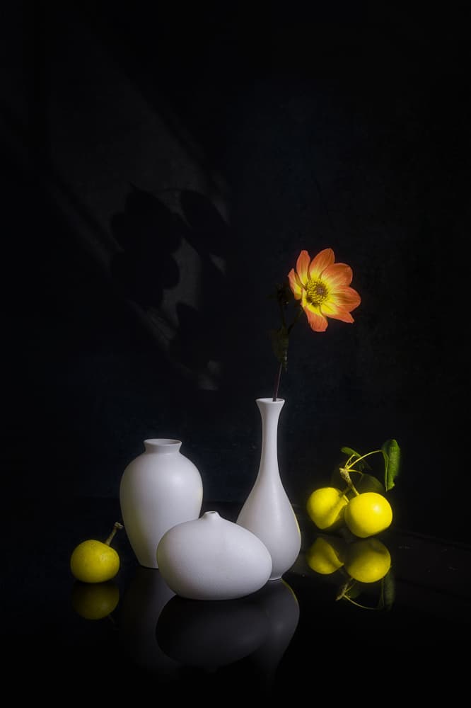 Moody Flower and Fruit by Lydia Jacobs — canvas wall art