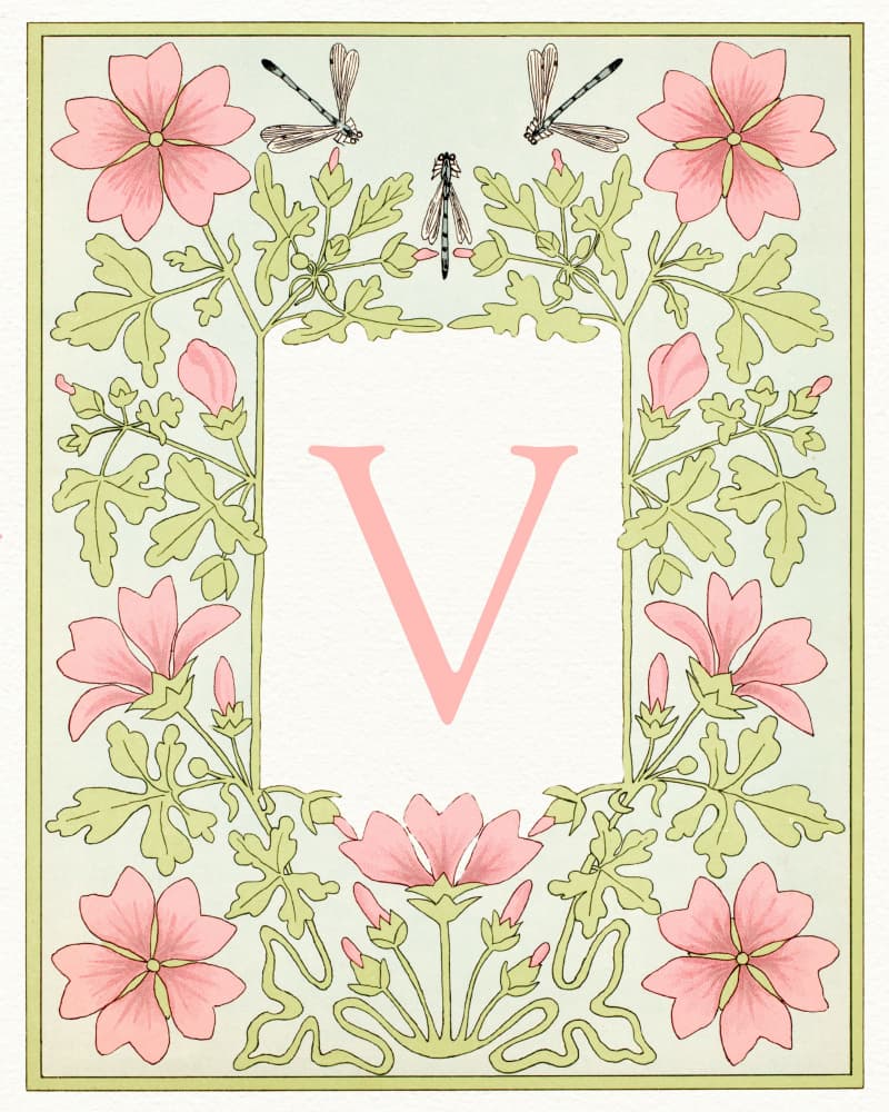 Elegant V Botanical Bloom by Wild Violets — canvas wall art
