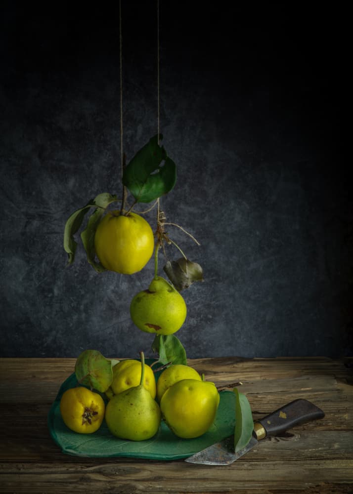 Rustic Quinces Still Life by FranzStaab — canvas wall art