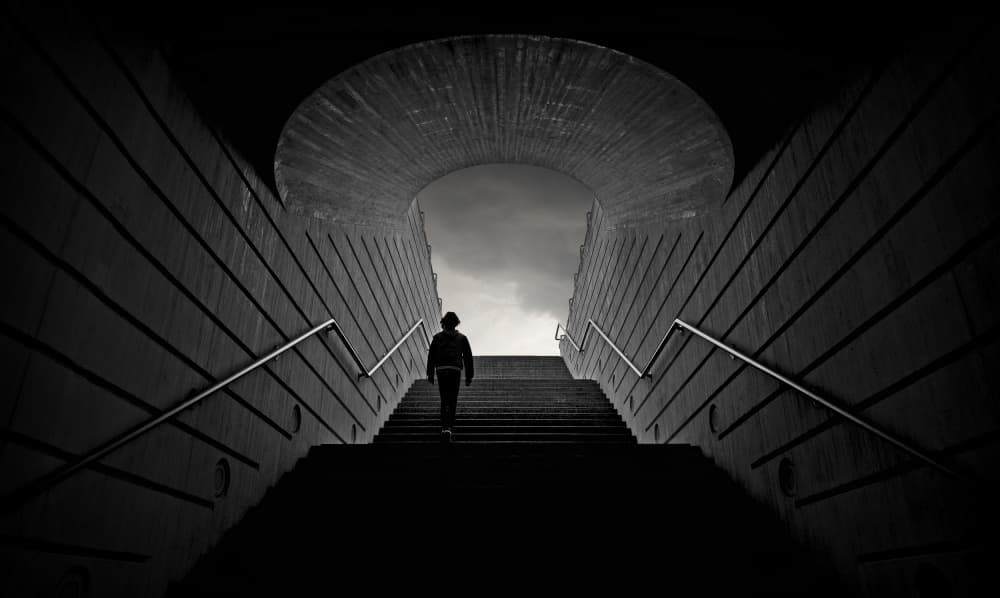 Ascending Towards Light by Wim Schuurmans — canvas wall art
