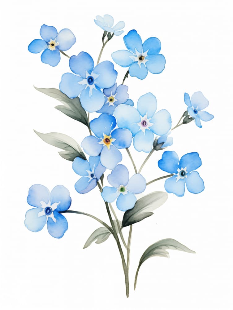 Blue Forget Me Nots by Christine Lindstrom — canvas wall art