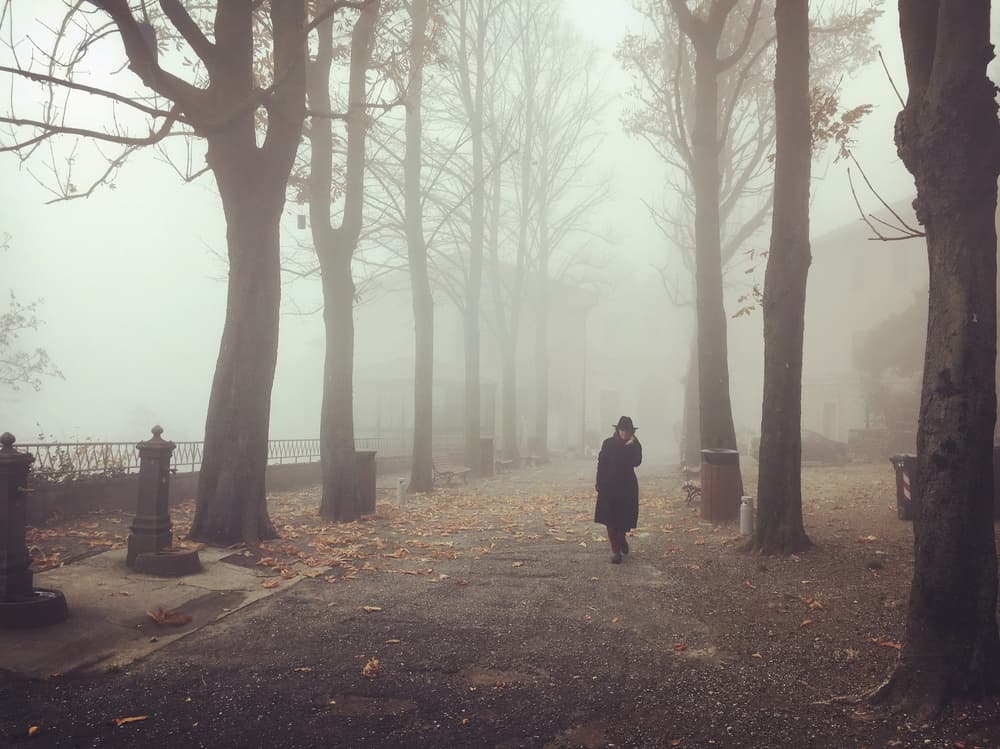 Solitary Foggy Walk by Lorenzo Grifantini — canvas wall art