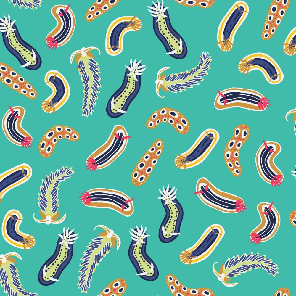 Vibrant Nudibranchs Pattern by Alexandra Weise — canvas wall art