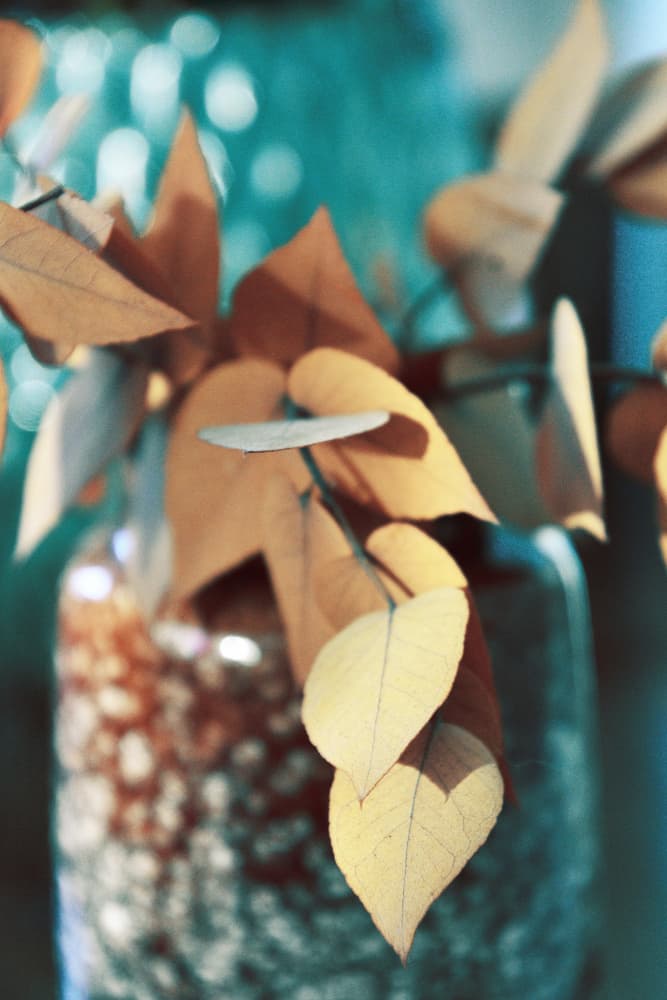 Golden Autumn Leaves by Christina Sillen — canvas wall art