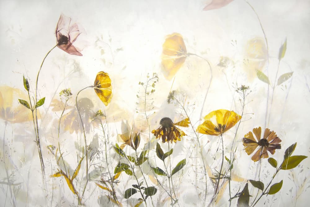 Flower party by Nel Talen — canvas wall art