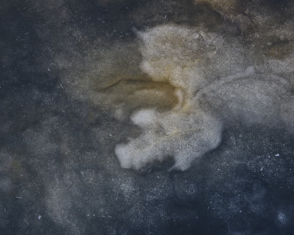 Abstract Frozen Flow by Hamed Bank — canvas wall art