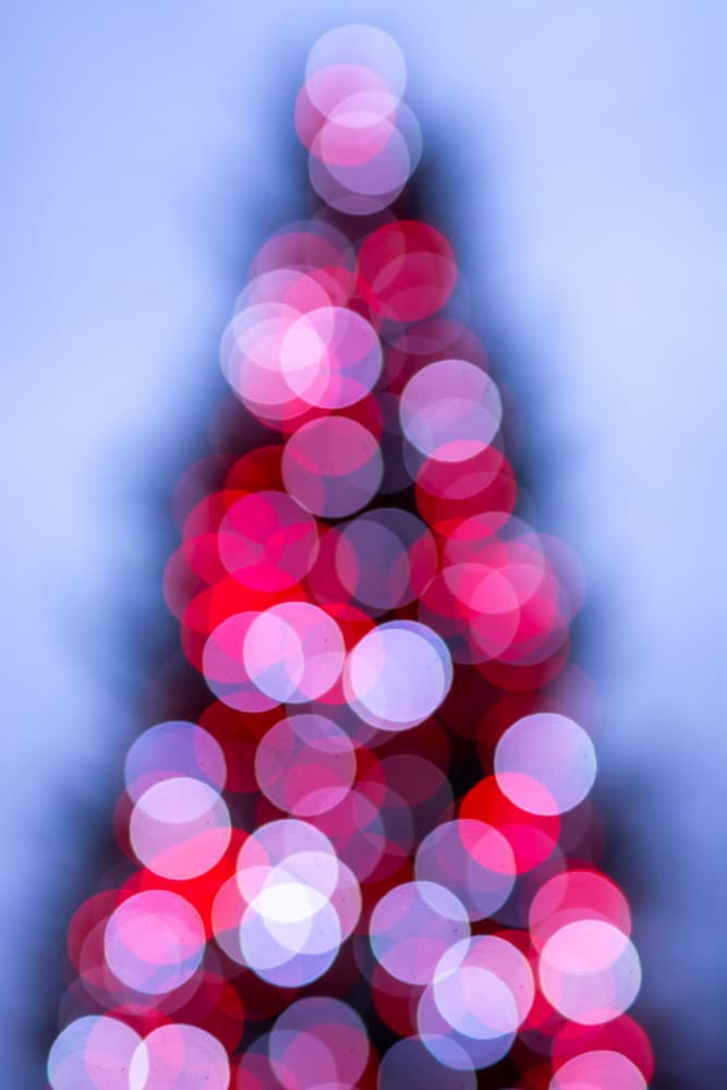 Festive Bokeh Tree by Tal Paz-Fridman — canvas wall art