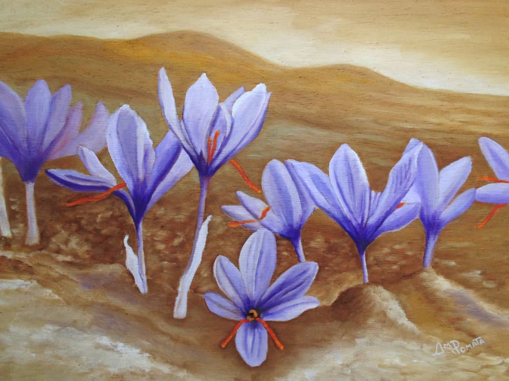 Blooming Saffron Fields by Angeles M. Pomata — canvas wall art