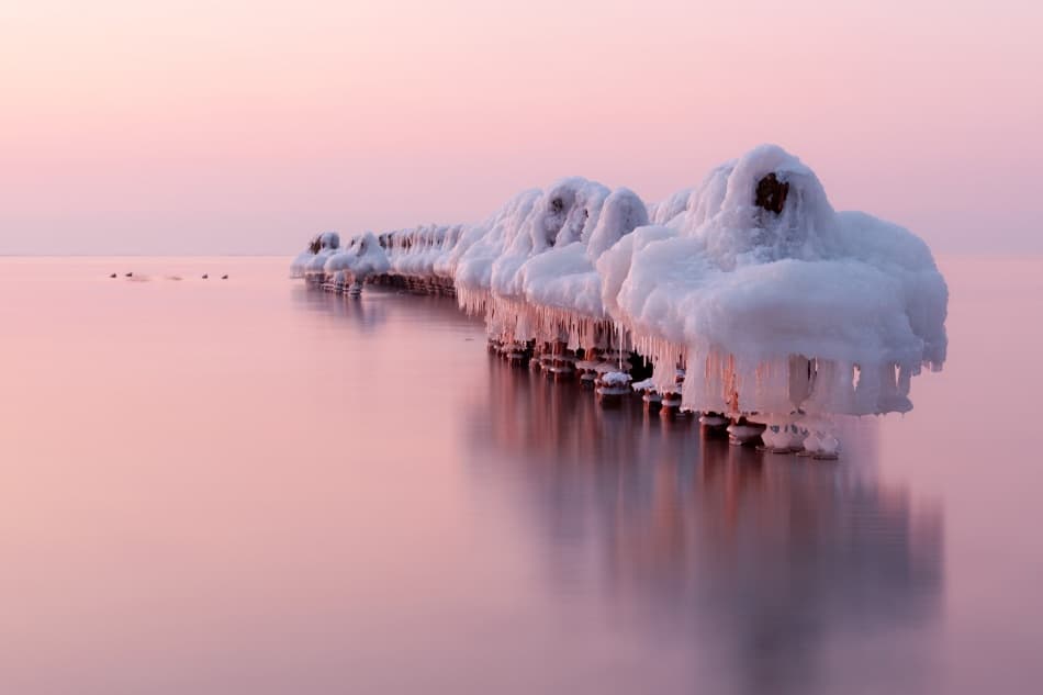Pink Winter Calm by Dmitry Kulagin — canvas wall art