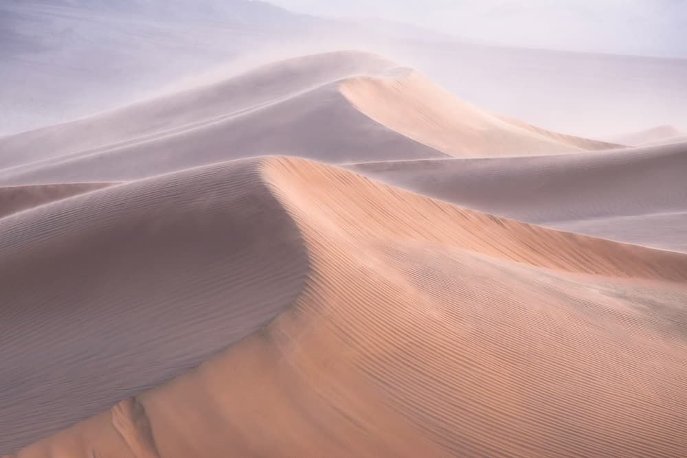 Windblown Desert Dunes by INIGO CIA — canvas wall art